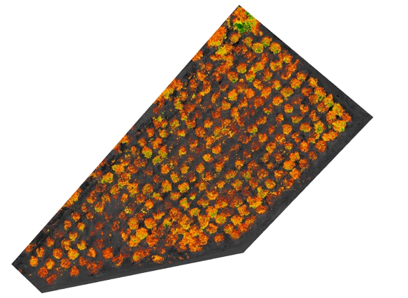 Mapa multiespectral del predio con variabilidad vegetal